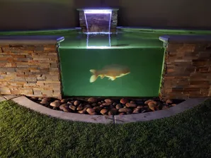 Window Koi pond construction-3